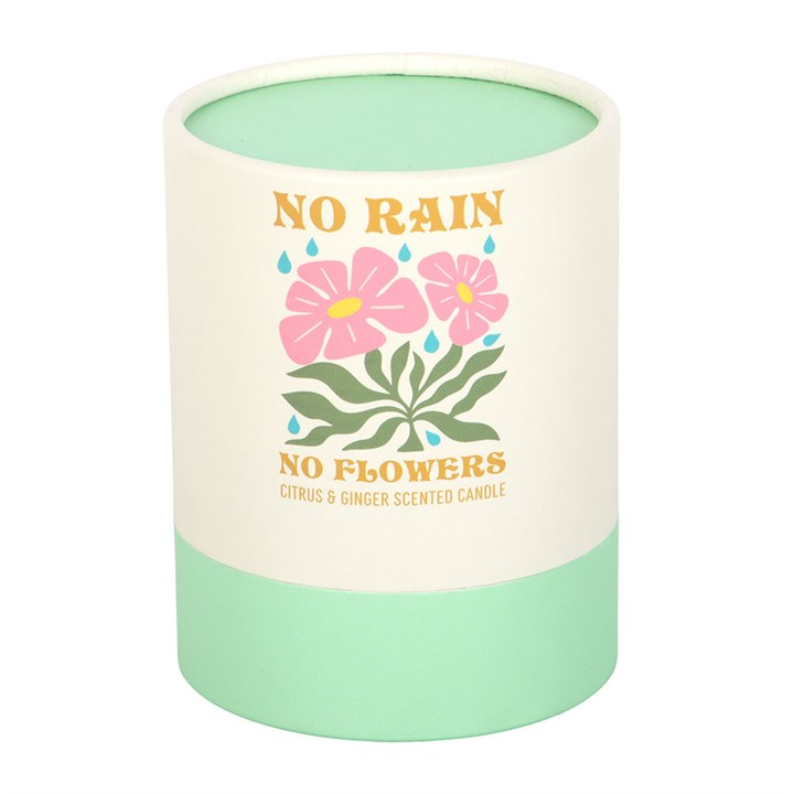 No Rain, No Flowers Citrus & Ginger Candle