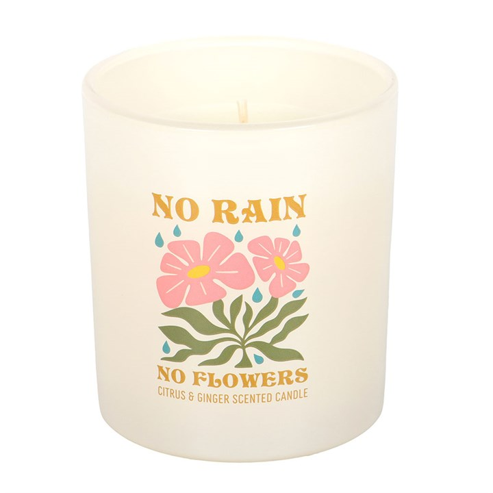 No Rain, No Flowers Citrus & Ginger Candle