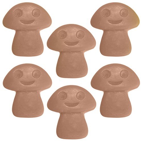 Natural Soy Wax Melts -Old Ginger