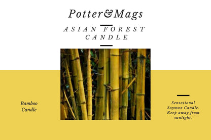 Potter&Mags Luxury Soywax Scented Candle - Asian Forrest